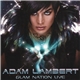 Adam Lambert - Glam Nation Live